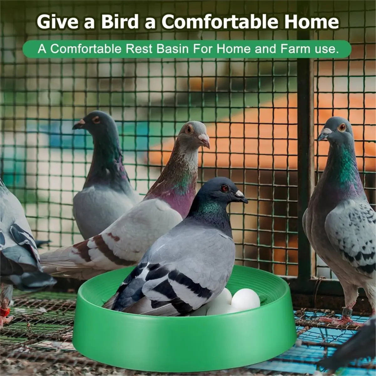 《TOP RATED》12 Pcs Pigeon Nest Bowls, Plastic Nesting Box Breathable Washable Quail Nest, Bird Egg Rest Beds with Pad