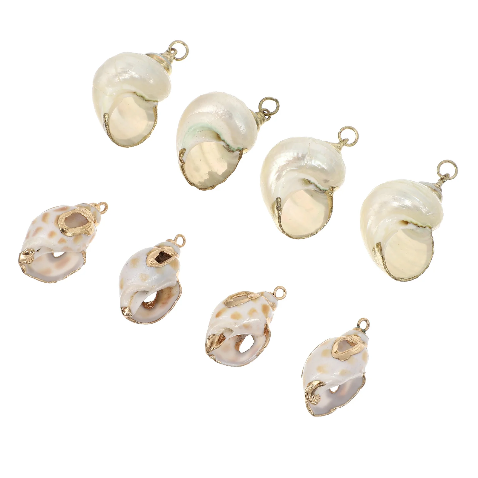 

8Pcs Natural Sea Shell Conch Pendants Unique DIY Jewelry Charms Necklace Bracelet Earrings Craft Decoration Necklace Pendant