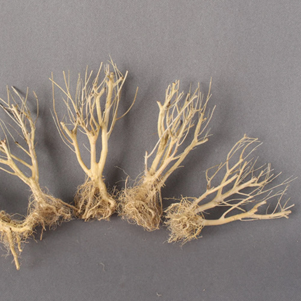 

2pcs Natural Aquarium Decorative Twigs Moss Tree Fish Tank Ornament Supplies For Aquatic Landscaping Durable Branches Resin