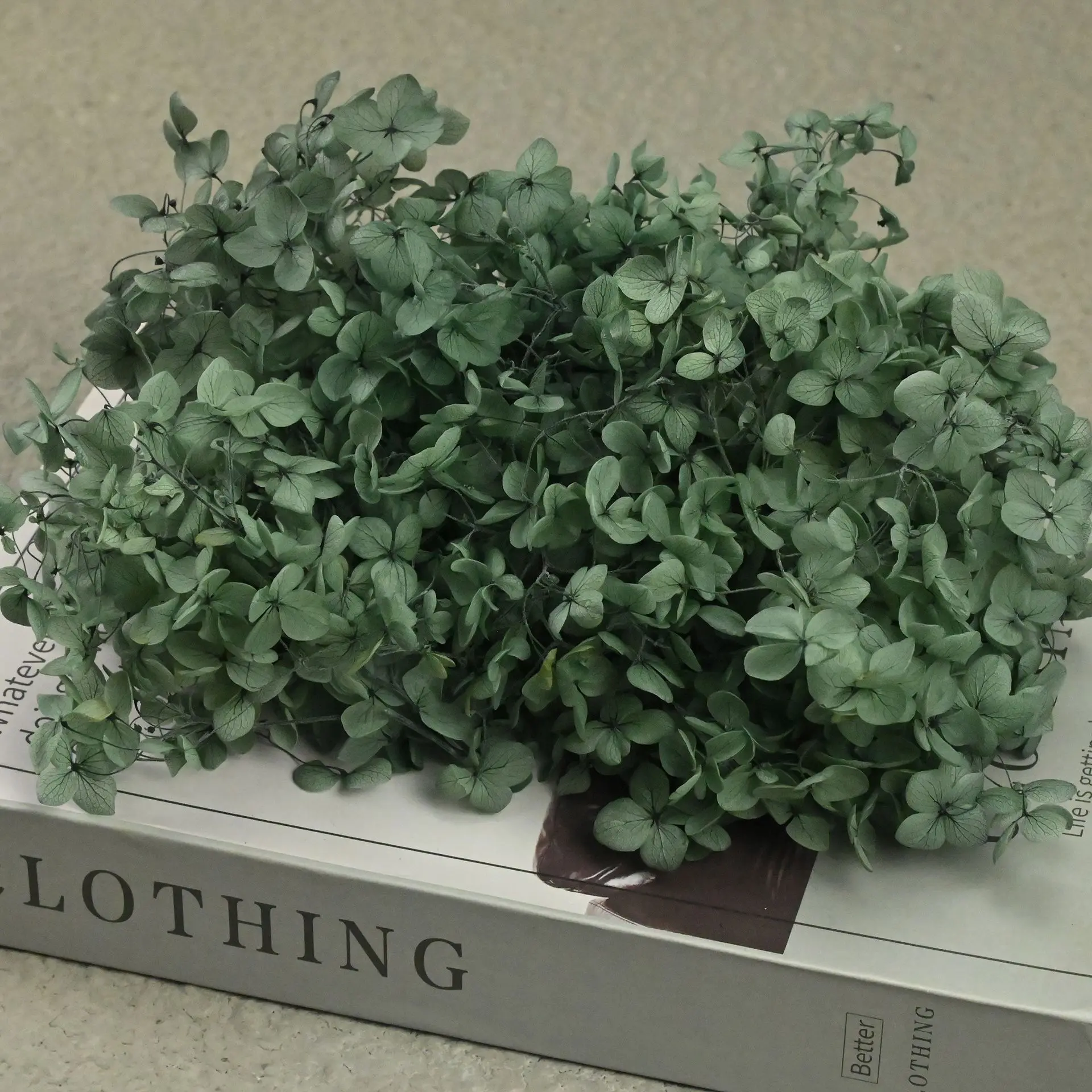 20g Natural Hydrangea Petals D - Dried Flower Bulk recension och pris