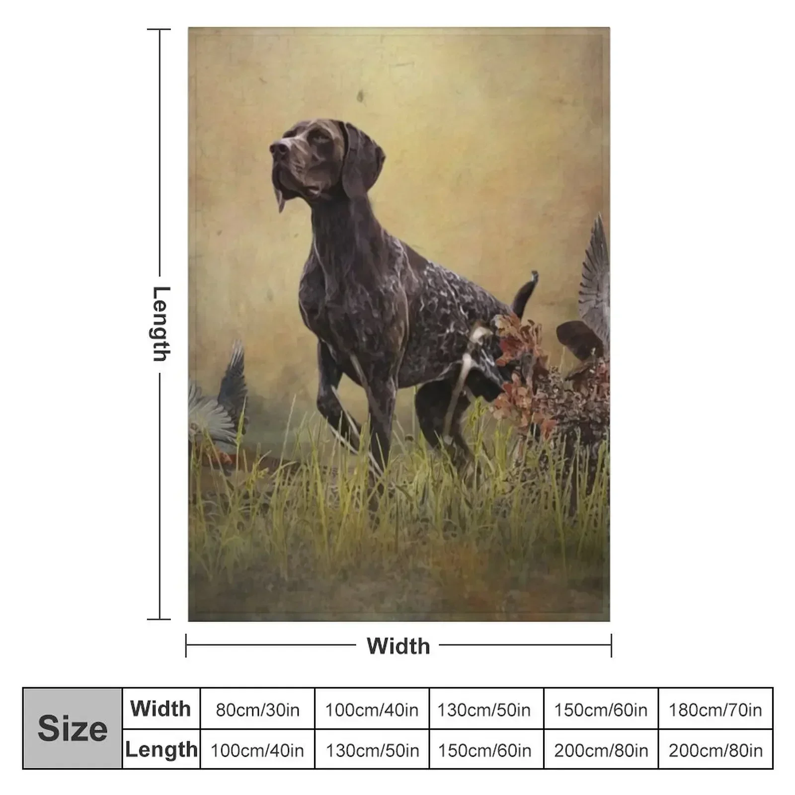 A German Shorthaired Pointer on point Throw Blanket Soft Big Blankets For Sofas Blankets