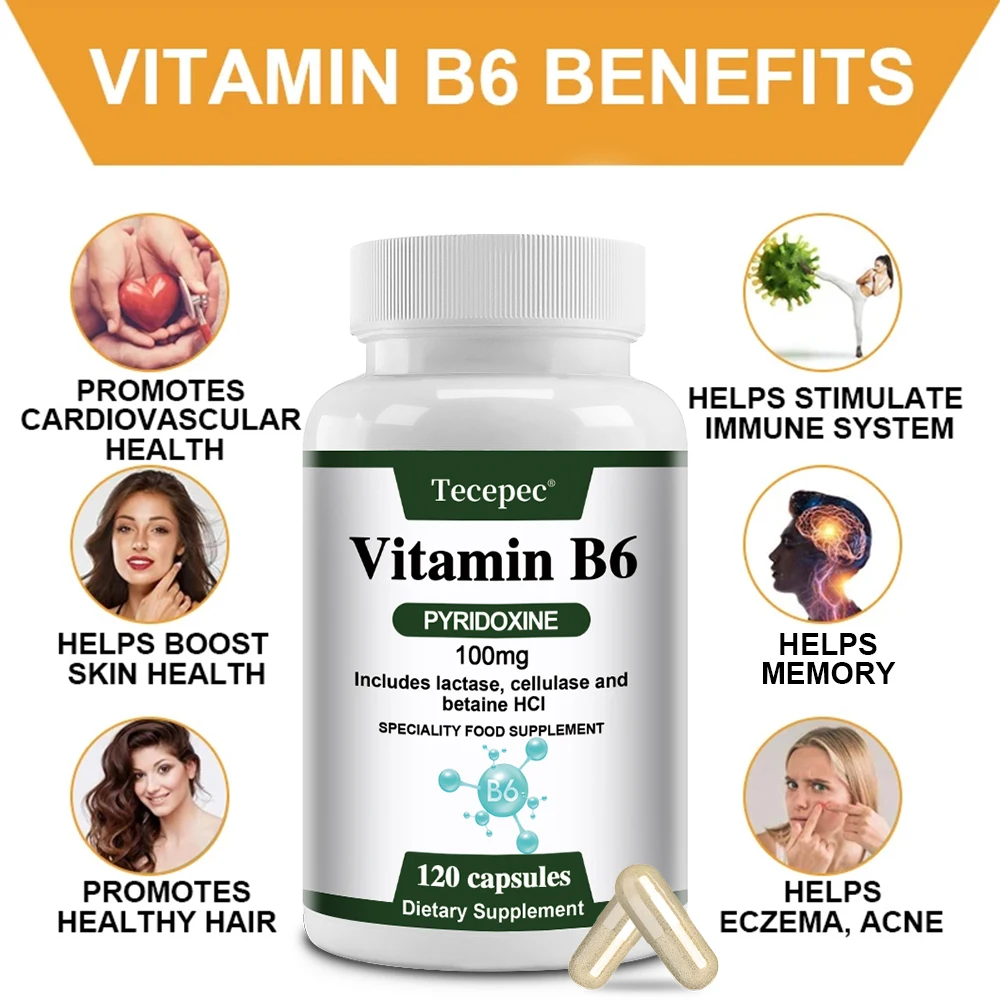 Vitamin B6, 100 Mg, with Lactase, Cellulase, and Betaine for Mental and Physical Energy, Brain Health, Heart Health, Vegetarian