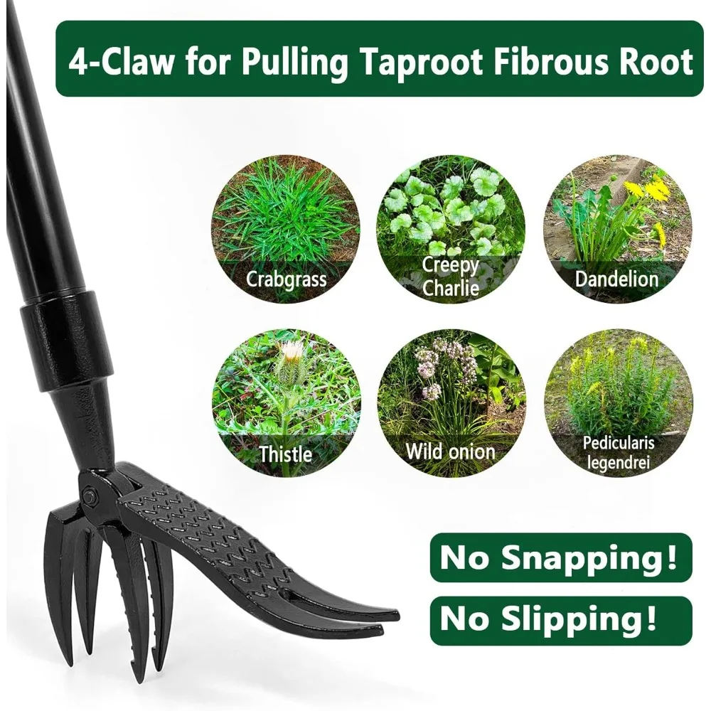 أداة سحب الأعشاب مع مقبض 48 بوصة تصميم رأس فولاذي 4-مخلب يزيل الأعشاب بسهولة دون الانحناء أو الركوع