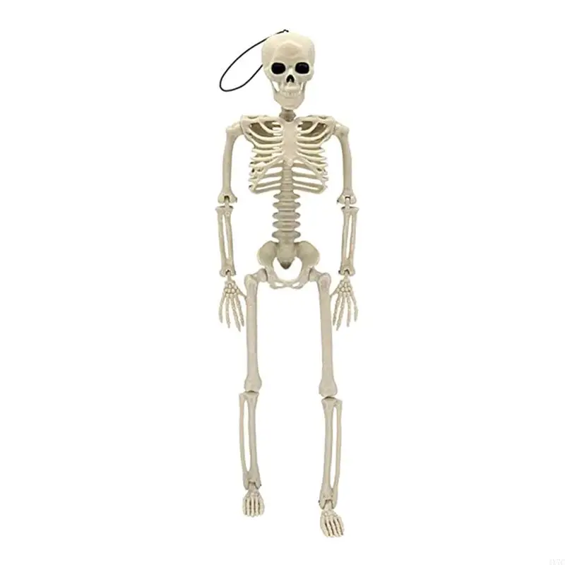 

4X7C 40cm Skeleton Action Figure Human Skull Hanging Decoration Halloween Scary Props