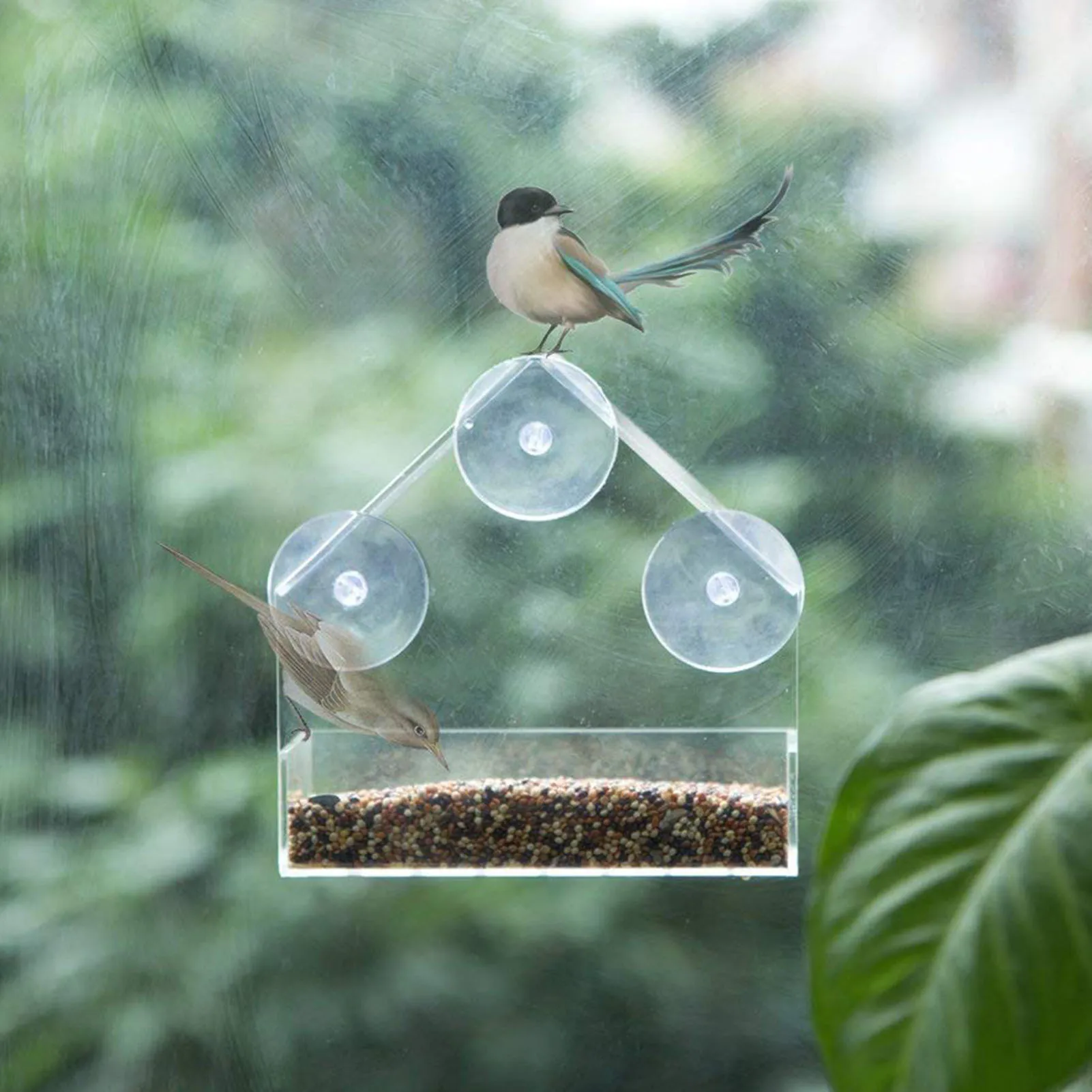 Bird Feeder Suction Cup Mounted Acrylic Transparent Birdhouse Outdoor Birdfeeders Hanging Birdhouse for Outside Garden