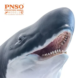 PNSO Prehistoric Dinosaur Model 56 Requena The Livyatan Collection Science Education Sperm Whale Animal Decoration Toys
