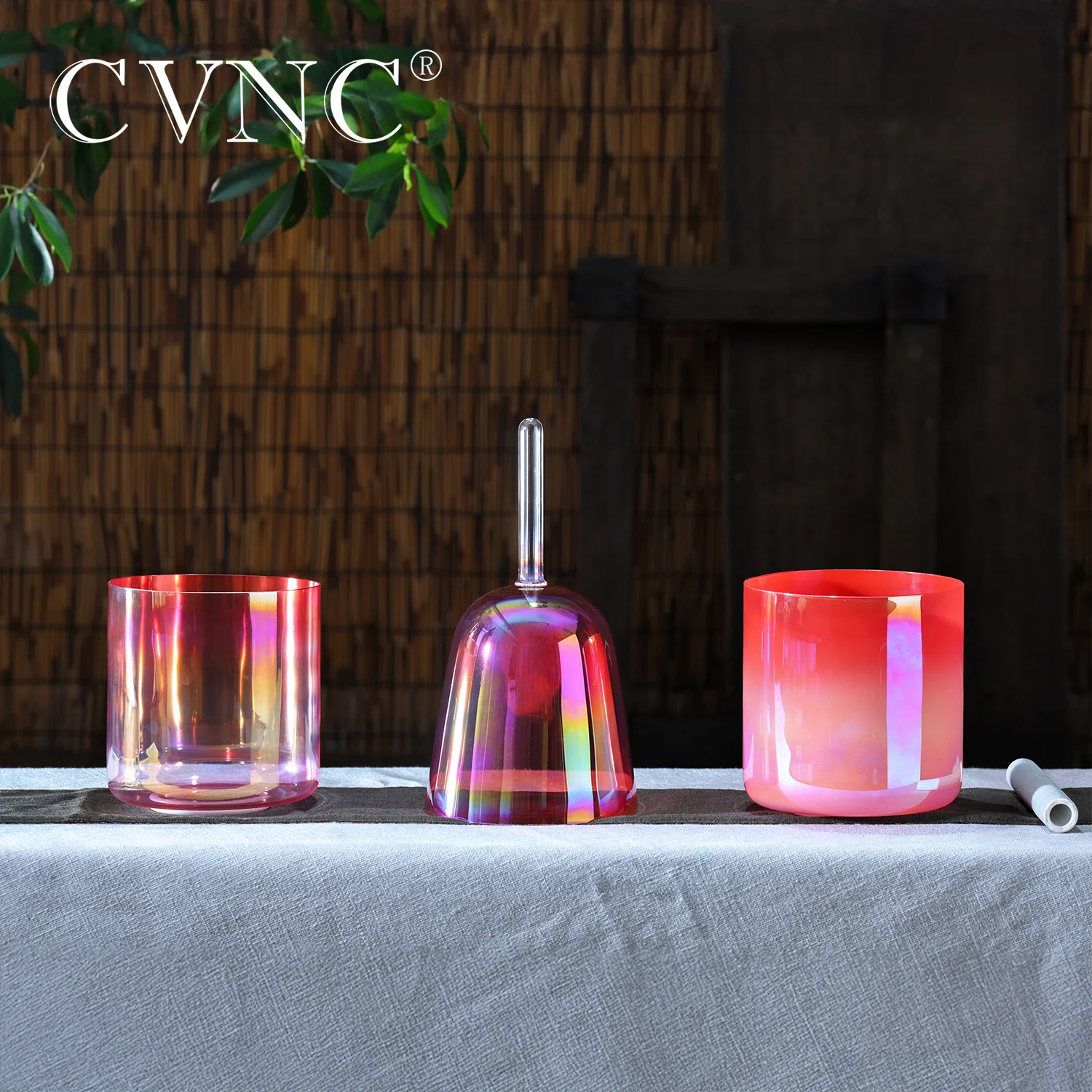 CVNC 6