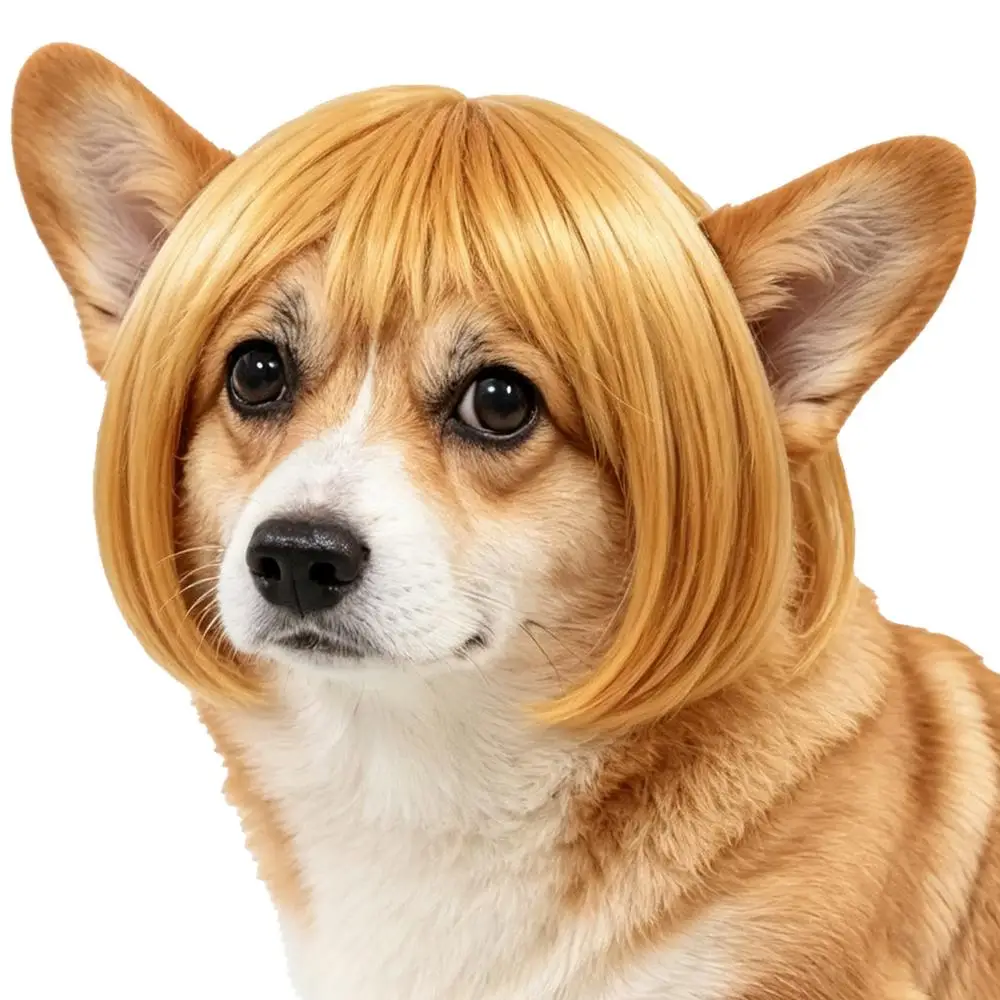 Hundeperücke-Kollektion Lustige Cosplay-Festivals Partys Dekorative Kleidung für Hunde und Katzen Halloween Haustier-Requisiten Zubehör – Detail 3