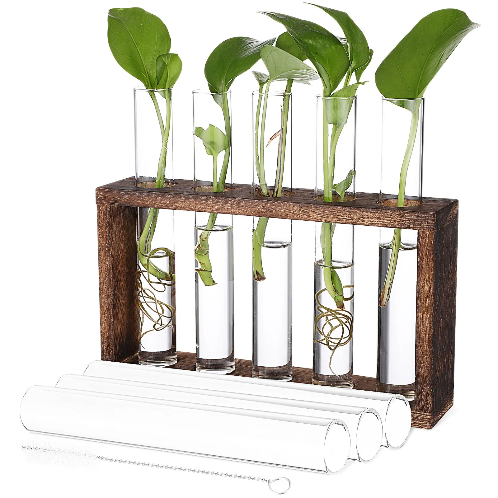 5 Tube Wooden Propagation Rack with Clear Glass Test Tubes Easy Clean Hydroponic Plant Holder for Windows Balcony Garden Wedding