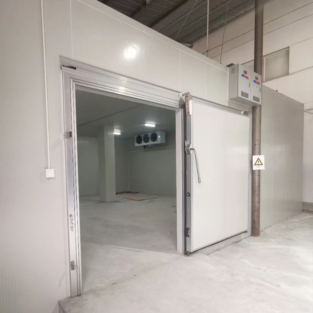 

EMTH Большой размер Walk In Cooler Kühl Kammer Kühl Kammer Kühl Mud Menu Gefrier Schrank