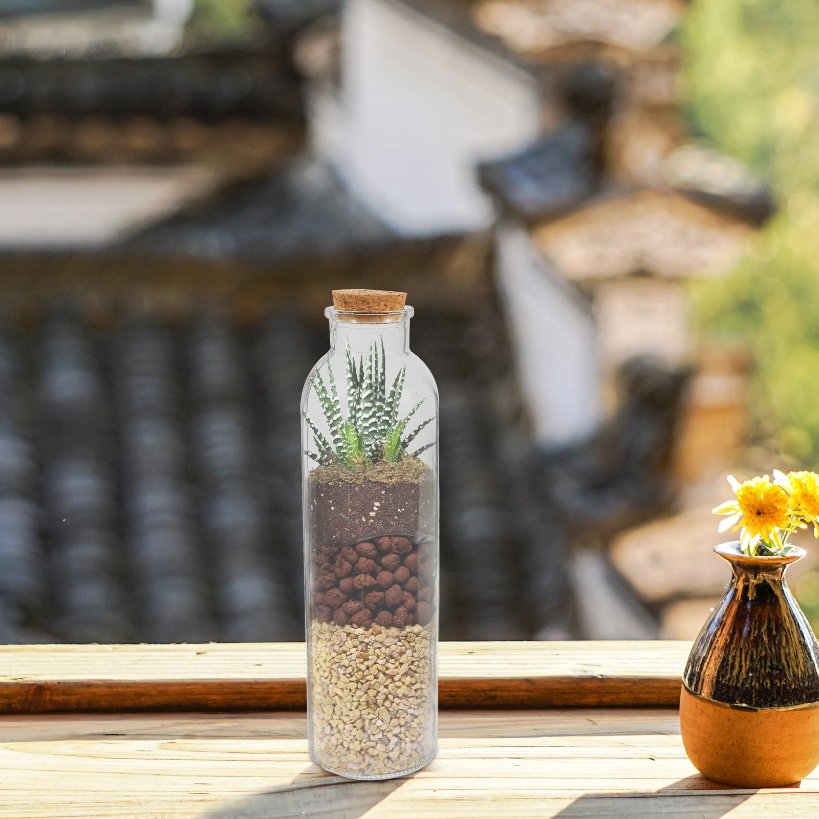 

Micro Landscape Glass Bottle Transparent Decorative Ecological Container for Plants Moss DIY Office Home Decor