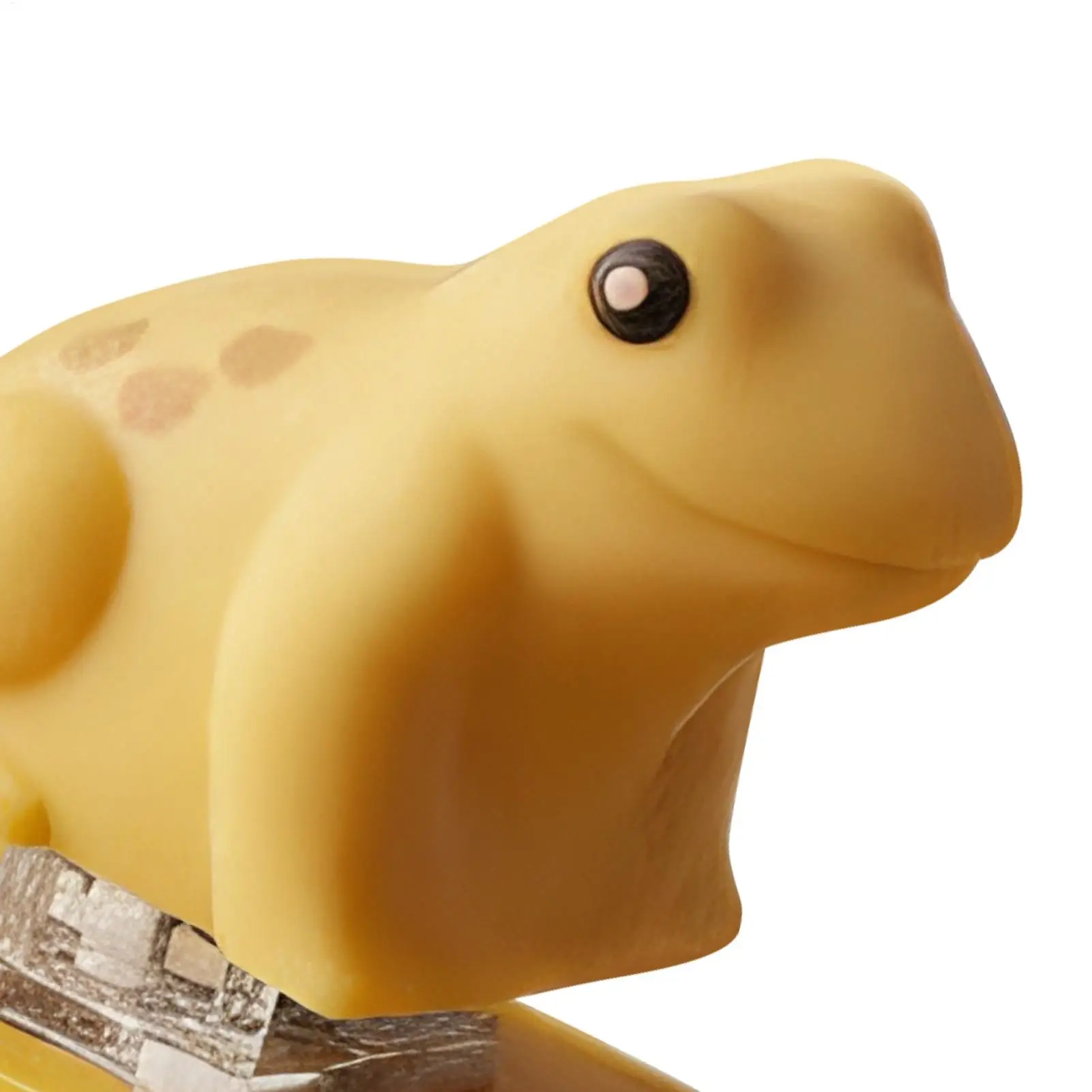 ของเล่นคลิกเกอร์แบบกดนิ้วรูปกบ ชาร์จไฟได้ สำหรับผู้หญิง ผู้ชาย ใช้ในโรงเรียน ห้องประชุม ที่ทำงาน