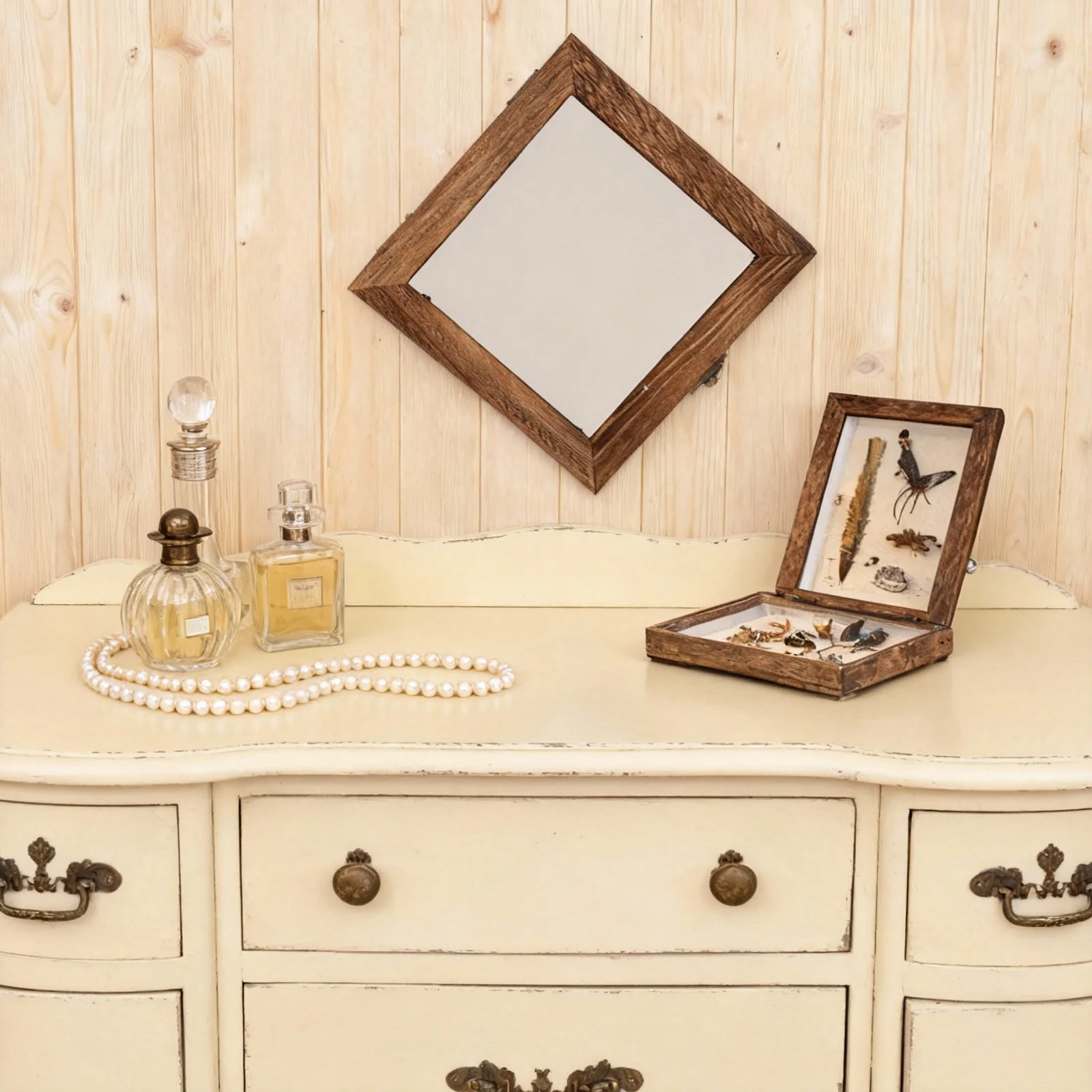 Caja expositora de muestras de insectos, caja acrílica estable de madera, tapa transparente, exhibición ligera para muestras, joyería artesanal