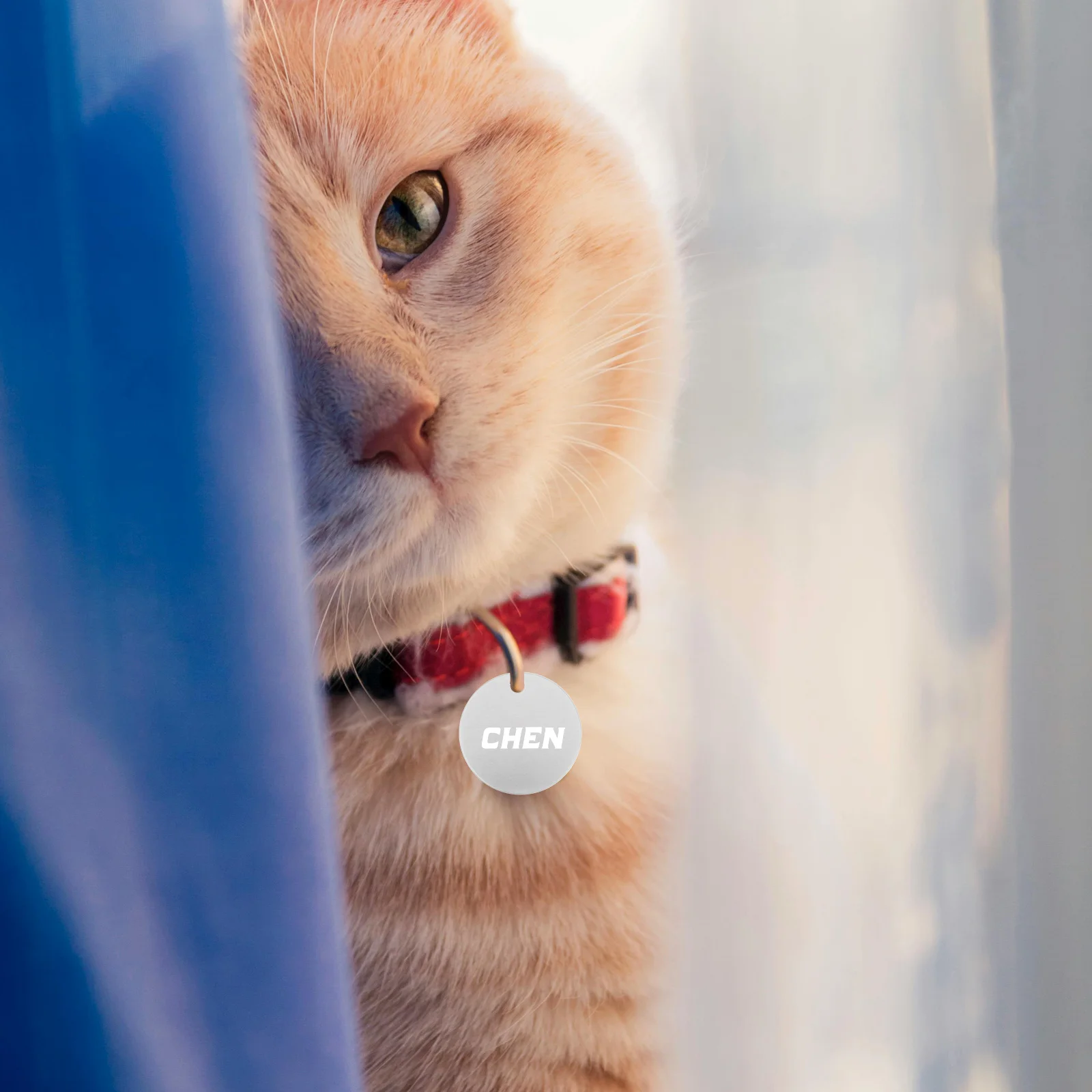 

25pcs Black Aluminum Round Blank Tags for DIY Engraving Cat Dog Pendants Keychains Decorations Souvenirs Sturdy