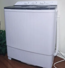 9.2KG Washing Machine Household Small Mini Convenient Double Barrel Double Cylinder Washing and Stripping Integrated Machine