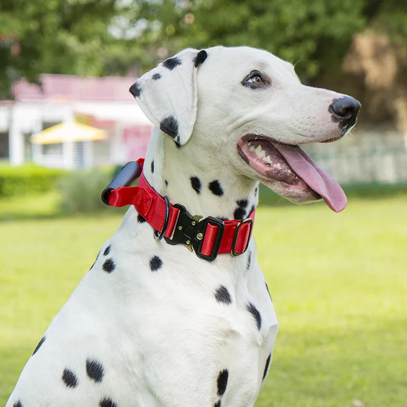 Pet Collar Explosion Proof Impact Resistance Pull Dog Collar Medium Large Dog Collar Tactical Collar Dog Collar