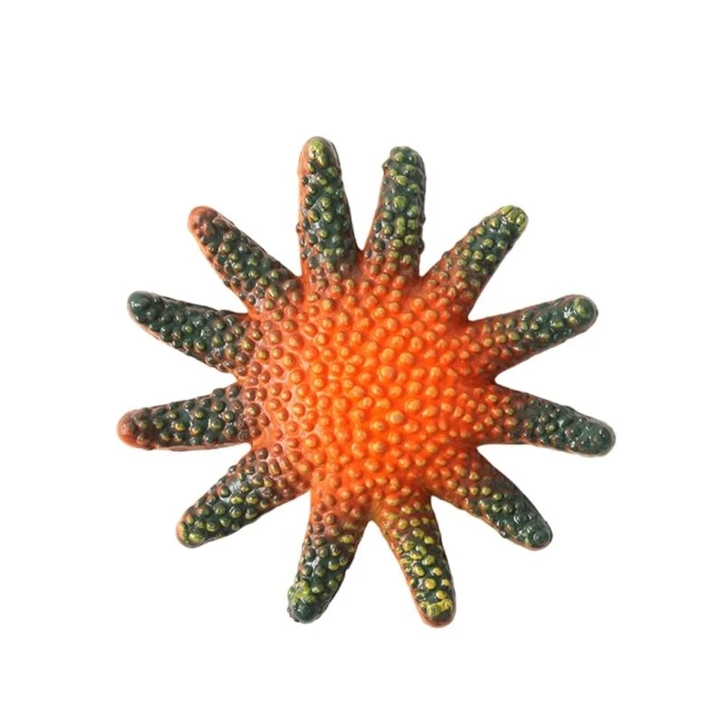 Onderwateronderzoek Ster Vis Beeldje Speelgoed 8PCS Zwemmen Duiktraining Speelgoed