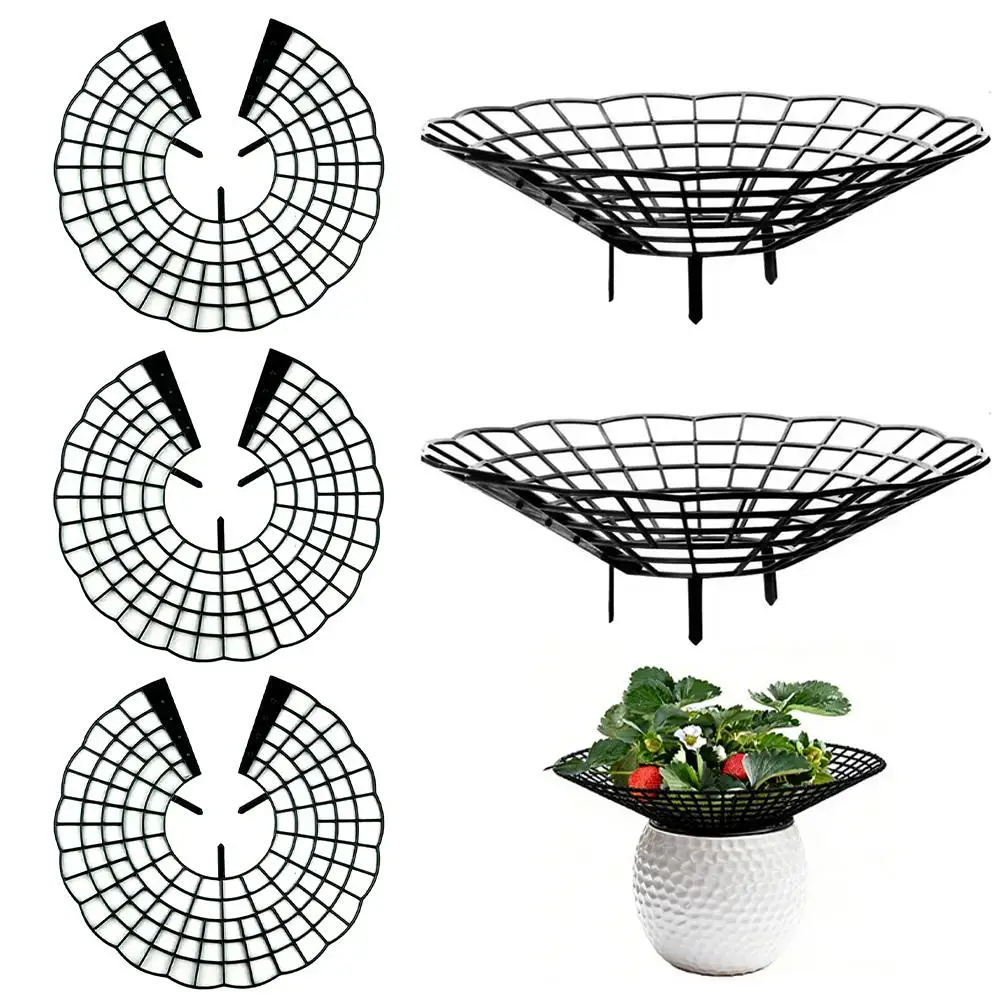 Strawberry Support Frame Vertical Strawberry Cultivation Rack Tray Fruit Support Frame Rural Rot-Prevention Green Plant Support