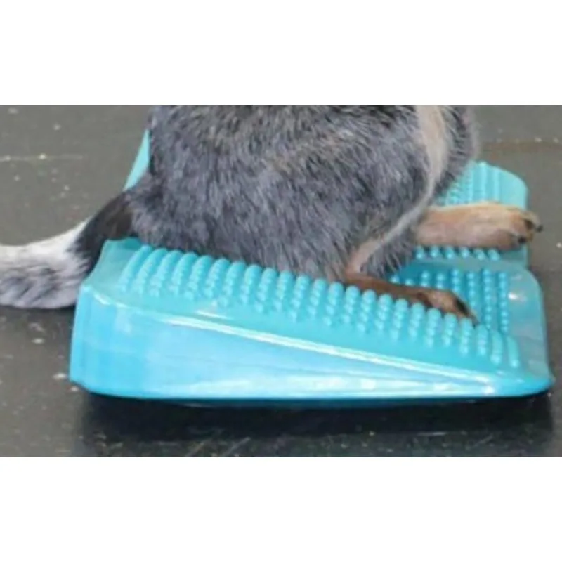 Pet Rehabilitation Training Ramp Inflatable Ramp Dog Fitness Ball Muscle Weight Transfer Rendition