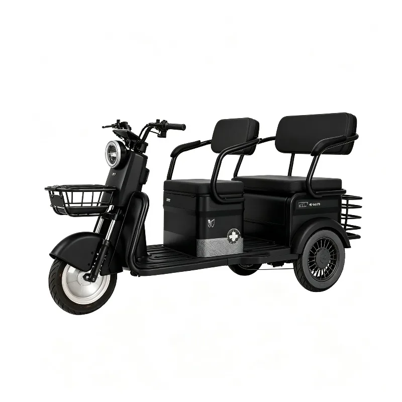 Hot Sell 3 Wheel Electric Bicycle Electric Tricycle With Passenger Seat Three Wheels Electric Tricycle For Adult