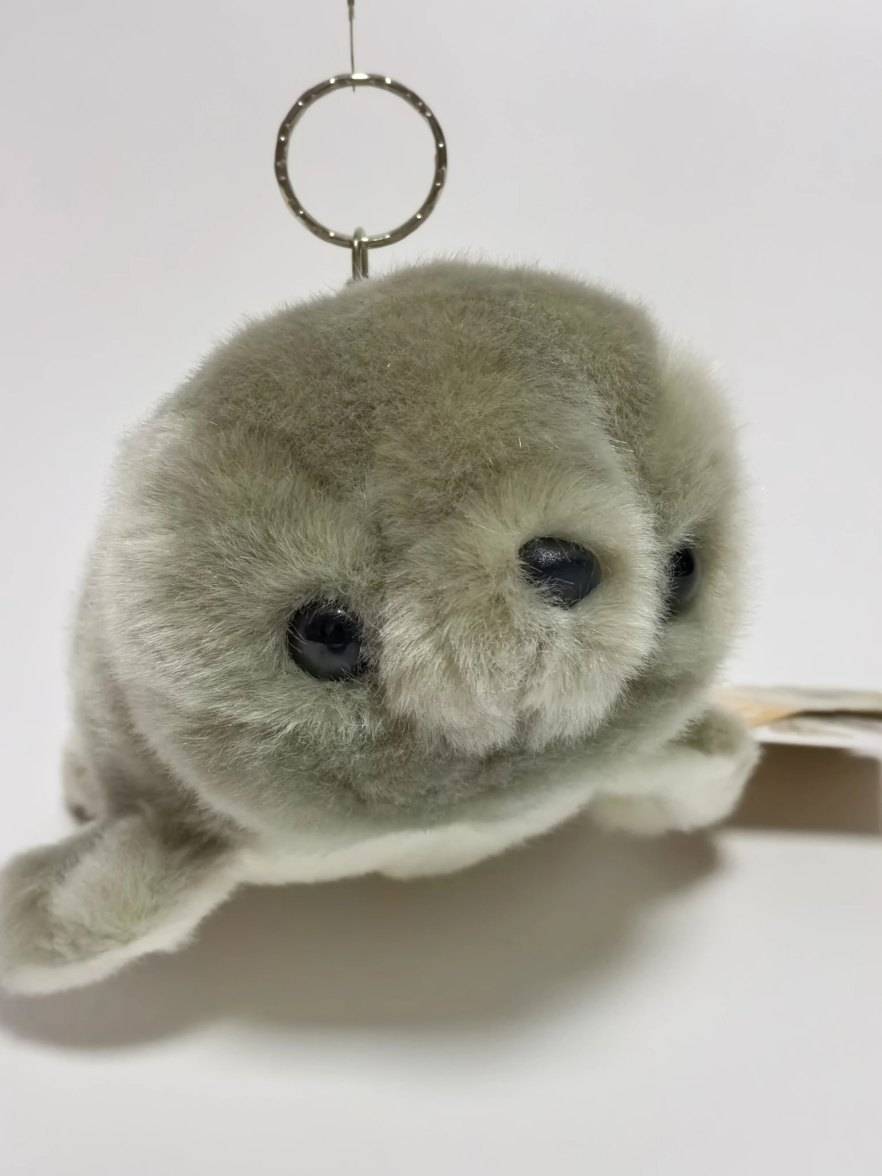 15cm Soft Sea Animal Seal farcito peluche bambola giocattoli Cute Sea Animal Dolls Sea Lion peluche regalo per bambini bambola giocattoli chiavi su