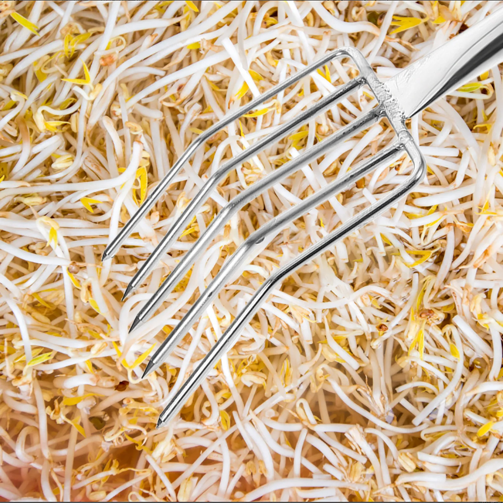 garfo-de-aco-inoxidavel-para-brotos-de-feijao-pa-compacta-e-resistente-para-jardinagem-transplante-e-escavacao-de-solo-ferramenta-multifuncional