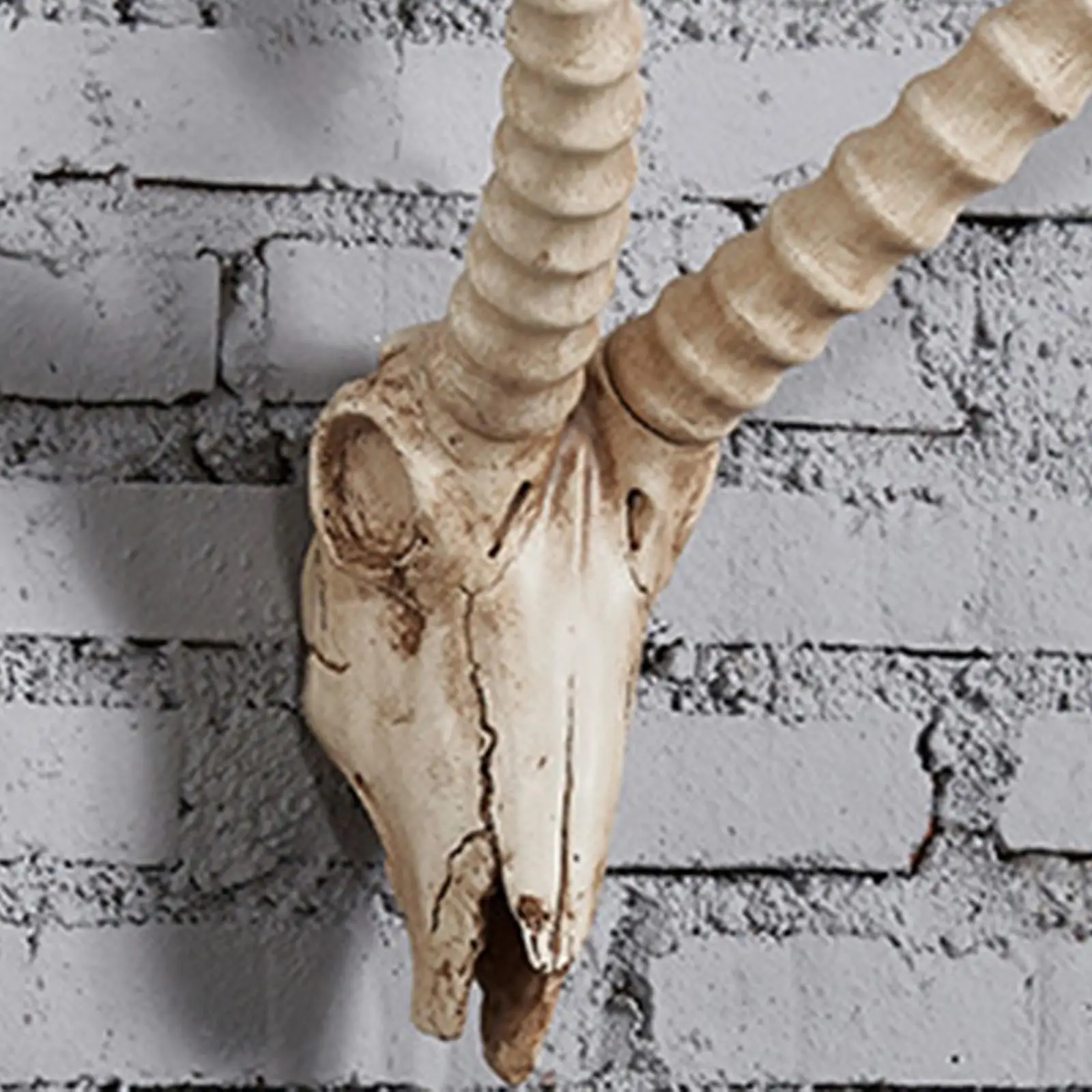 Resin Long Horned RAM Decor Skull Wall Mount Skull Decor for Home Office D 42x34x16cm