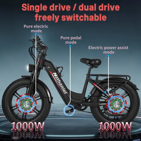 Dual Motor E-Bike Nathaniel SYR08 City Commuting E-Bike, Dual Motor 2000W, 20x4.0 Integrated Wheel, 48V20AH, Speed 50+, Snow/Sand Outdoor Cycling