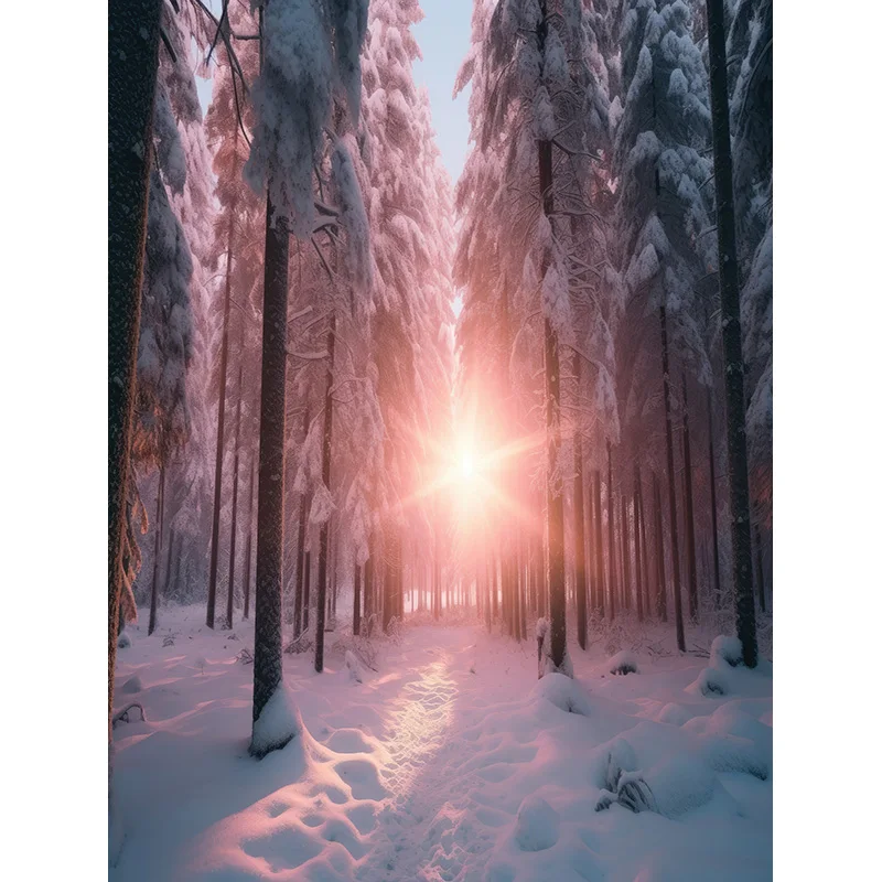 Winter Forest Fotografia Cenário, Snowcovered Road, Paisagem Snowflakes, Spruce Árvores, Photo Background, XD-18