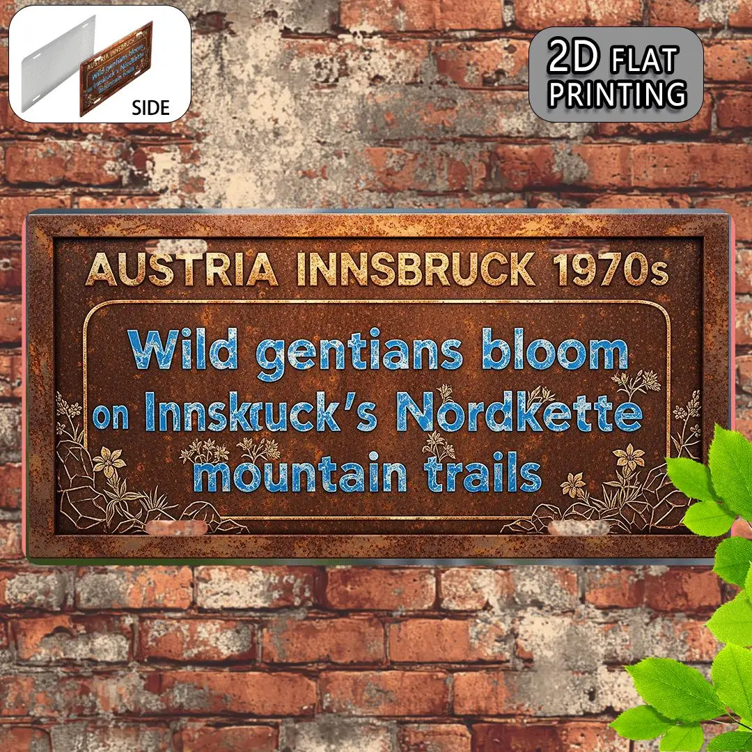 2D Flat, 1pc, Vintage Licence License Plate, Decorative Sign (29.97cm x 14.99cm), only for decoration, Austria Innsbruck Wild ge