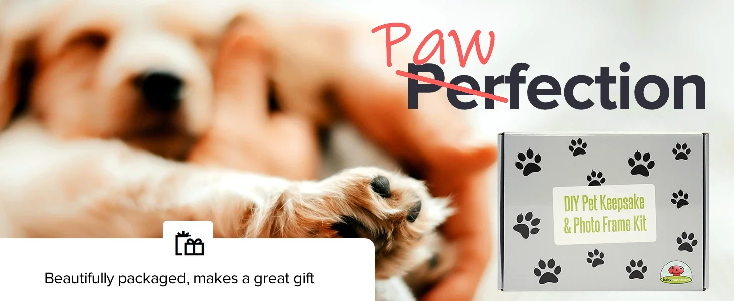 Pet paw print impression kit with frame in gift box