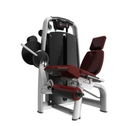 

Seated Leg Press for Gym Fitness, Powerful Equipment for Adult, Strength Extension Fitness Equipment