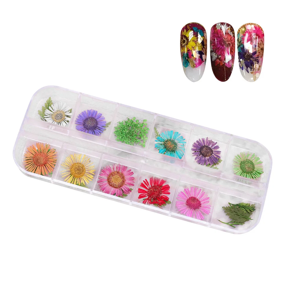 

Dried Chrysanthemum Flowers Nail Art Stickers Colorful Natural Leaves for Uv Gel Acrylic Manicure Decoration Nail Supplies
