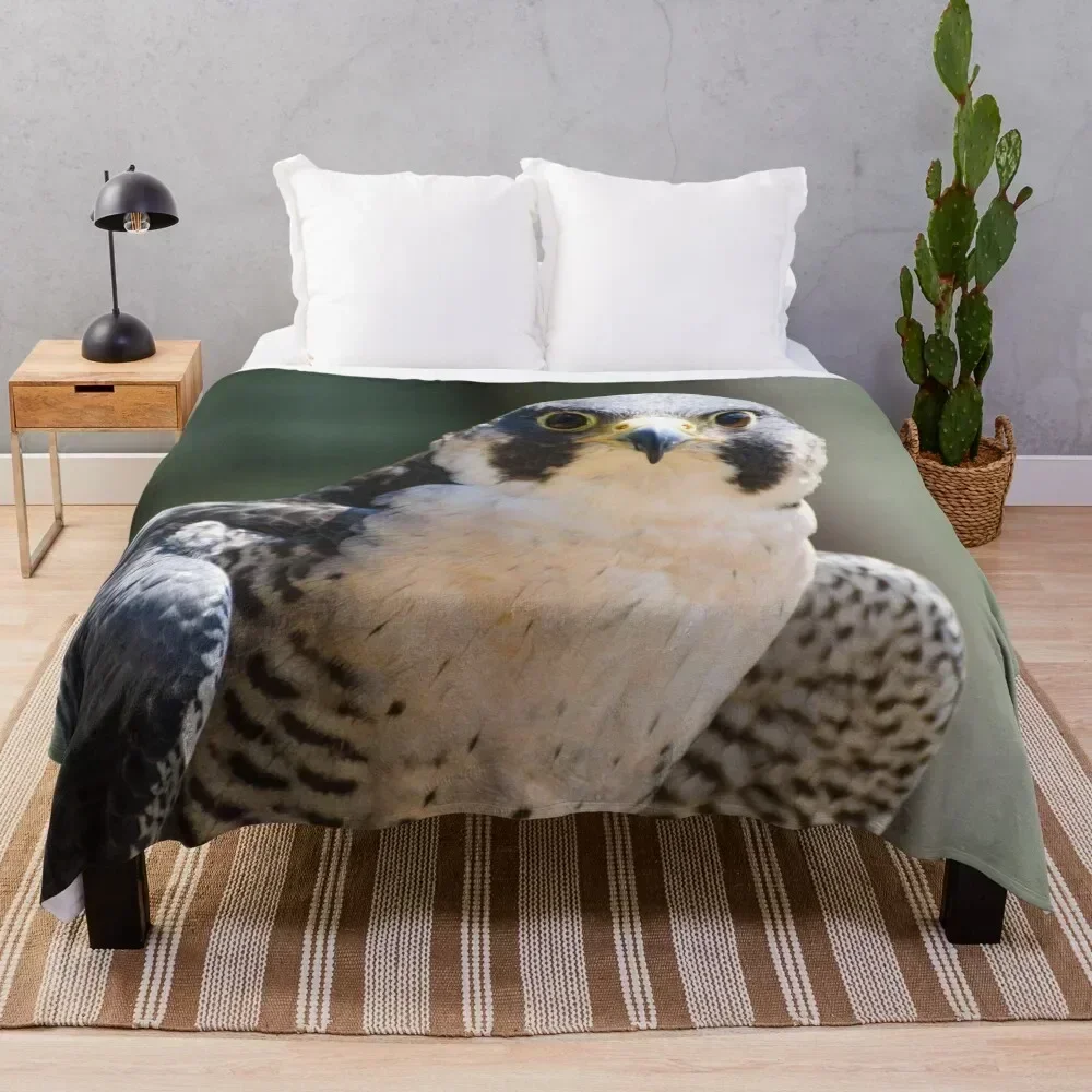 

Peregrine falcon Throw Blanket Warm Accent Blanket for Living Room Decoration