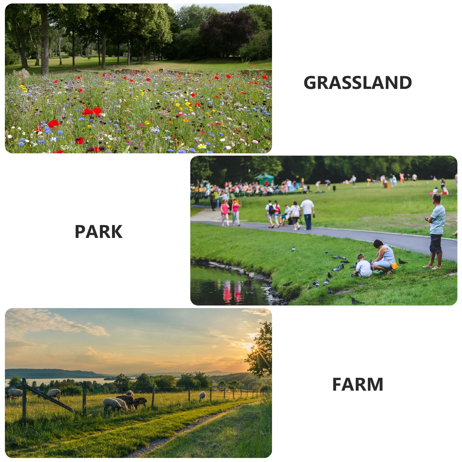 20 stuks cartoon plastic vliegers dier ontwerp buiten vliegen lichtgewicht duurzaam gemakkelijk te bedienen kinderen tuin strand vlieger