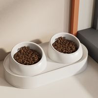 Slanted Mouth Pet Feeding Double Bowls Portable Cute Dog Food Basin Anti-Slip Large Capacity Cat Feeder Dispenser
