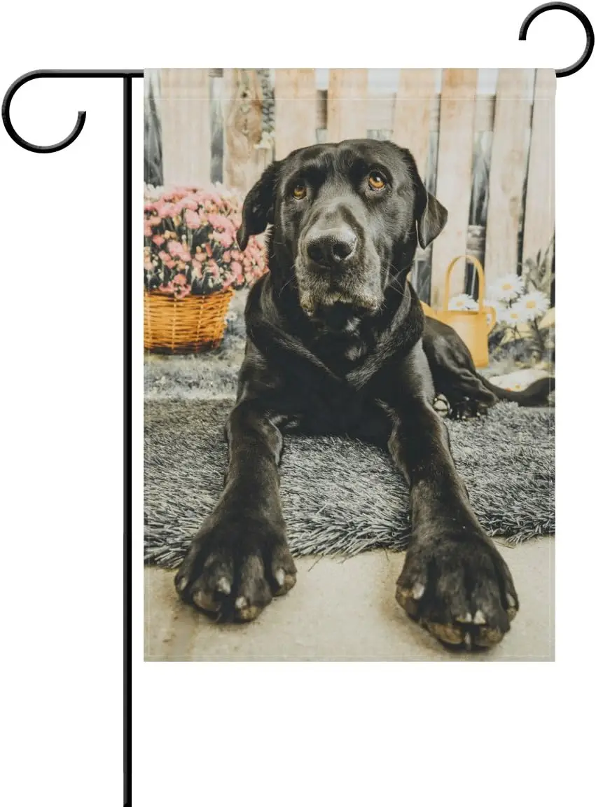 ALAZA Cute Portrait of Black Lab Dog Polyester Garden Flag House Banner 12 x 18 inch, Two Sided Welcome Yard Decoration Flag for