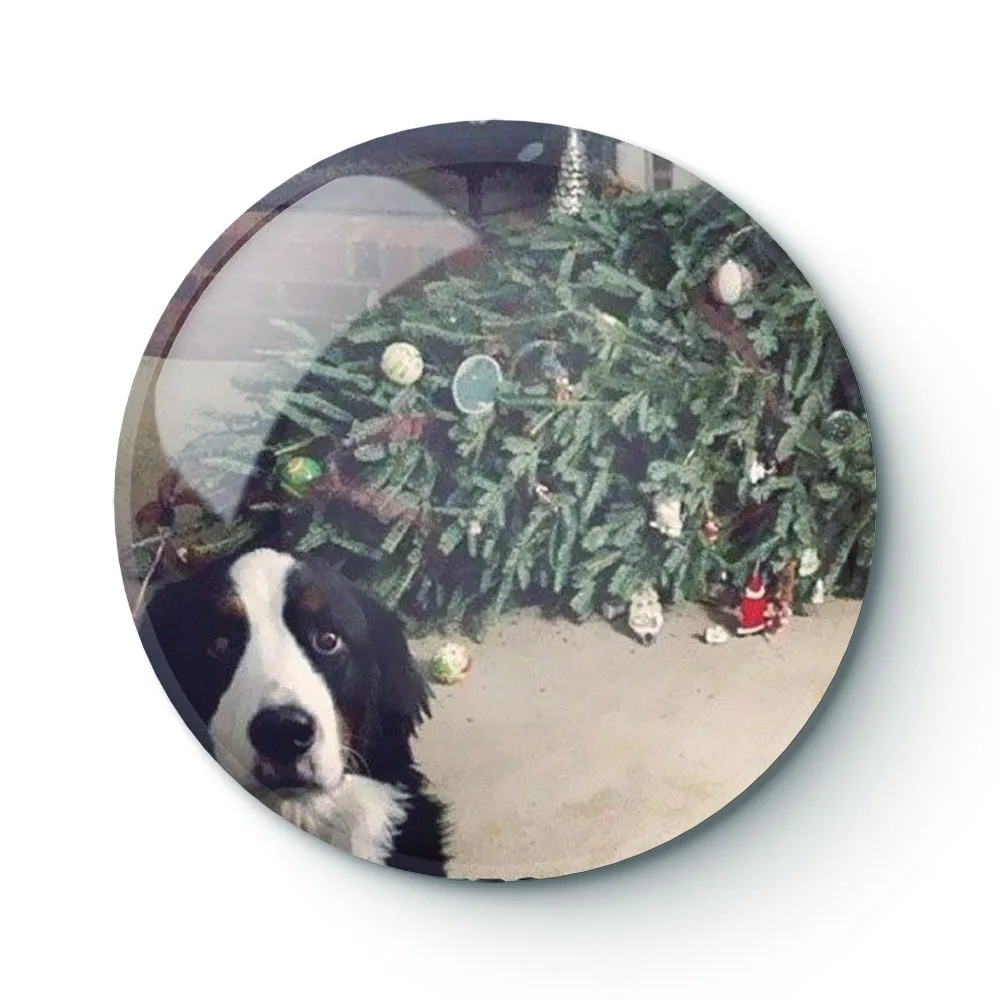 

Собачий мем 057, броши на пуговицы, булавка, ювелирный аксессуар, индивидуальная брошь, модные значки на лацкан