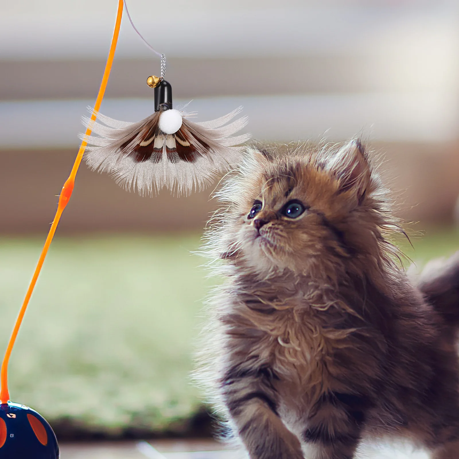 

6Pcs Cat Realistic Design Replaceable Teaser Multiple Styles Safe Materials Versatile Use Indoor Cats