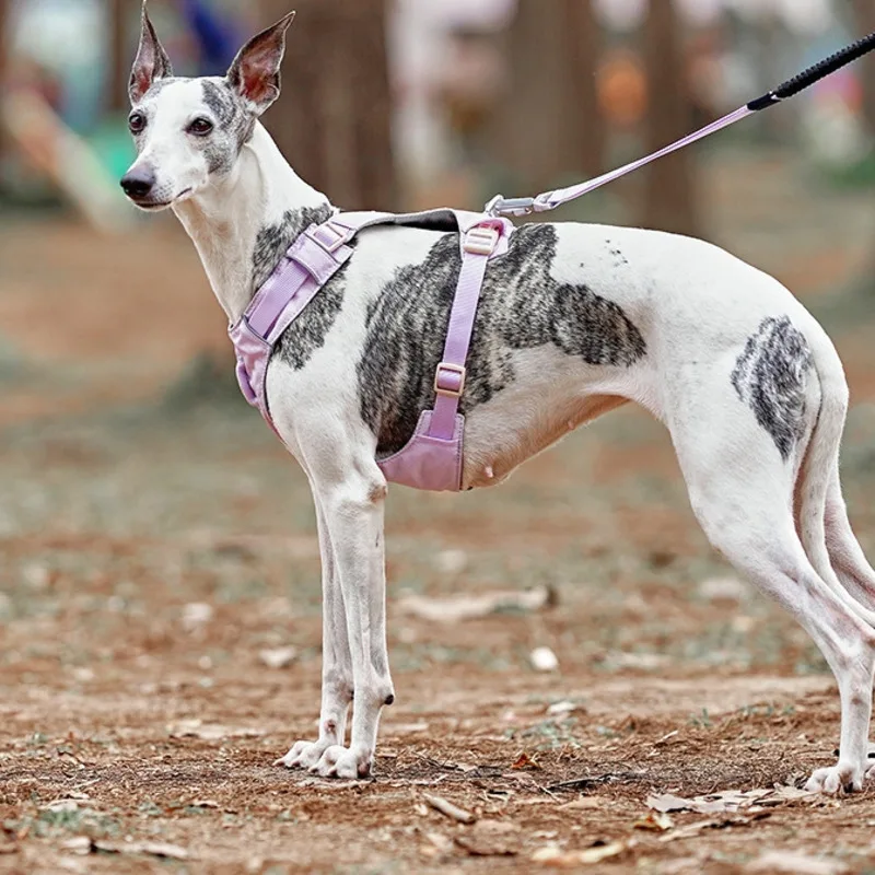 

Товары для домашних животных Поводок для собак Жилет Аксессуары для собак Поводки для кошек и собак Обеспечьте безопасность животных