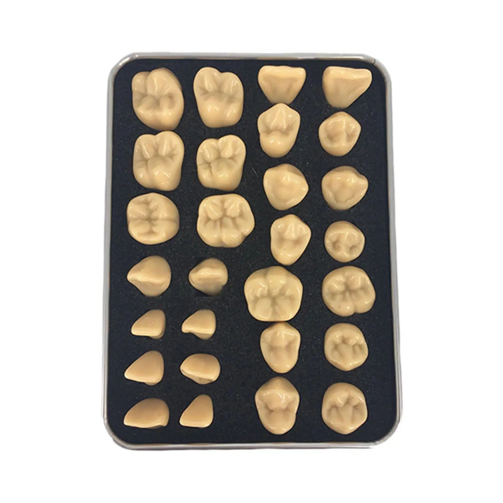 28Pcs Acrylic Resin False Synthetic Polymer Resin Upper + Lower Materials