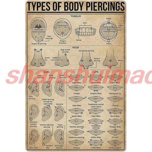 MAI Types de piercings corporels, signe en étain, connaissance, affiche scientifique populaire, ferme scolaire
