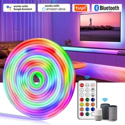 Taśma Neon LED DC12V RGBIC LED pasek IP67 wodoodporny ściemnialny 96LED/m RGB goni elastyczna taśma pilot/Bluetooth/WiFi