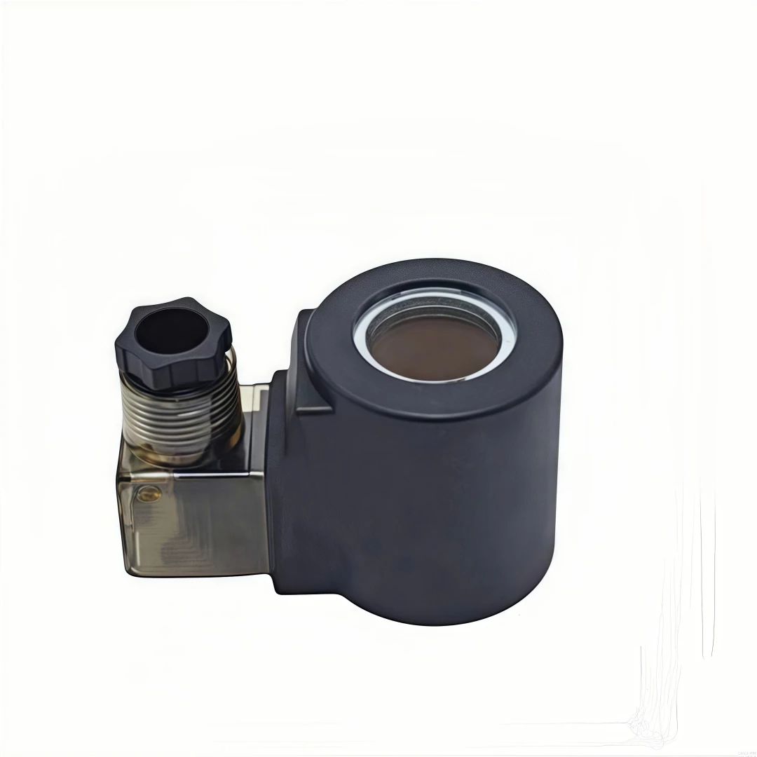 

Coil Pneumatic Solenoid Valve Coil Solenoid Valve Coil DSG-01-LW-23-AC220V