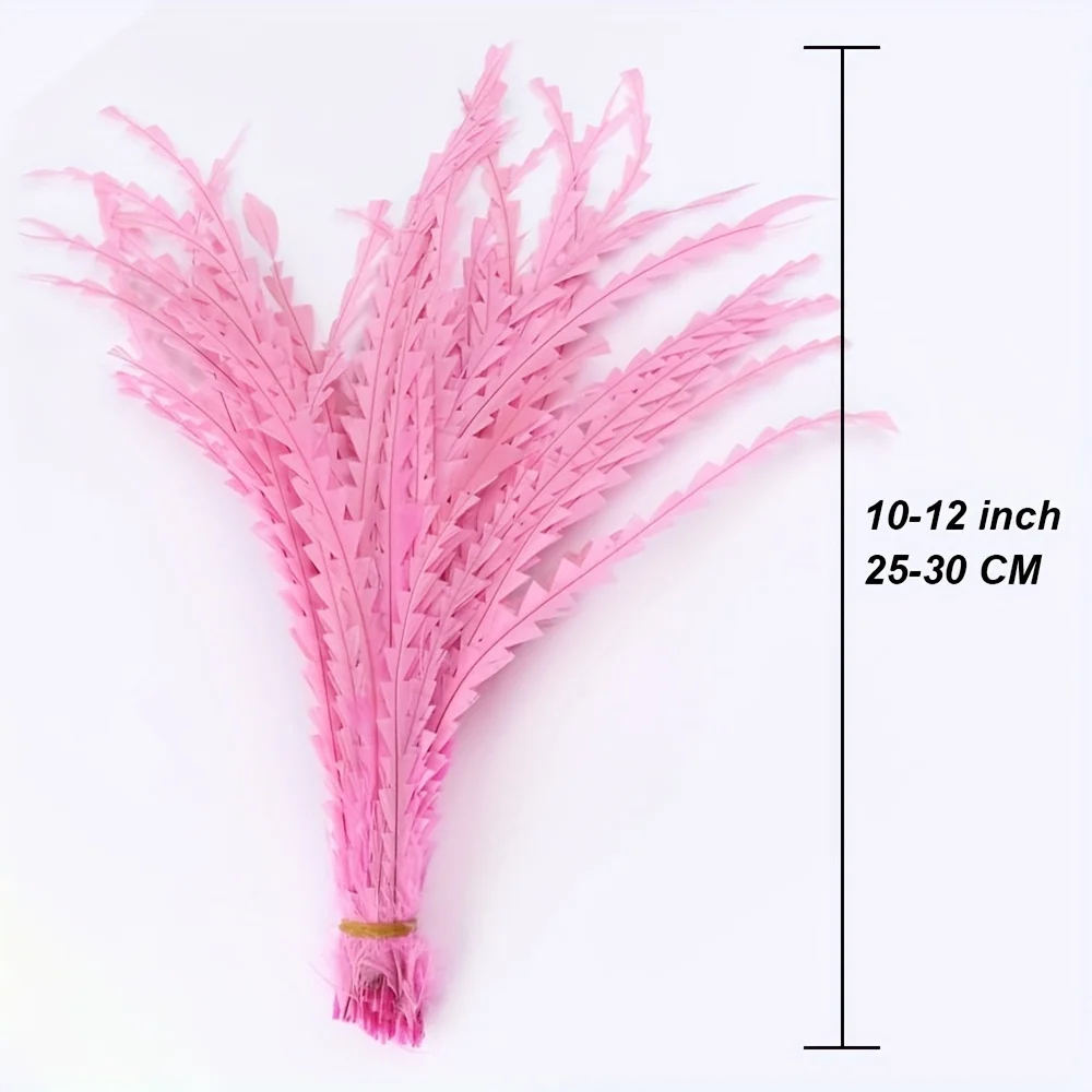 10Pcs Rooster Feathers, 25-30CM In Length, 10-12 Inches, Used For Crafts, Clothing Accessories