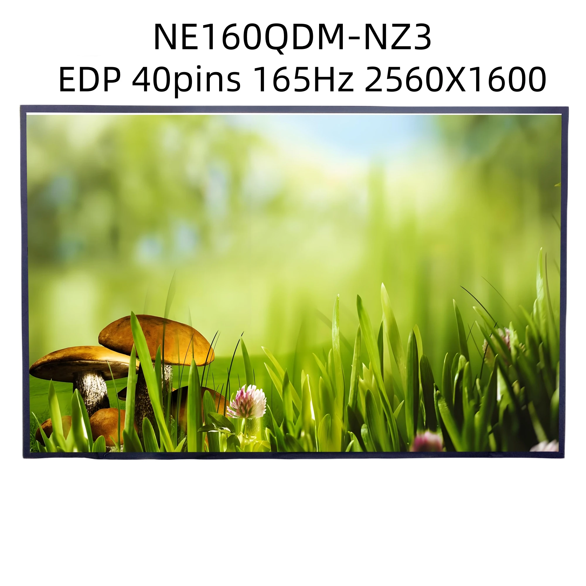 

NE160QDM-NZ3 EDP 40-контактный 16,0-дюймовый 165Гц 100% sRGB 2560X1600 ЖК-экран для ноутбука