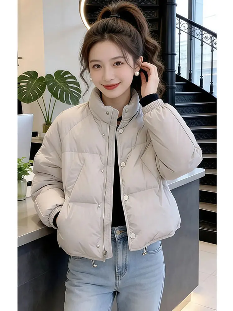 

Зимняя утепленная куртка-пуховик с воротником-стойкой для женщин, маленький размер, повседневный стиль, цветная, утепленная, верхняя одежда
