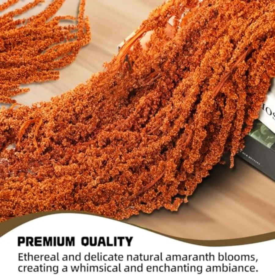 5 قطعة أمارانثوس المجففة زهور معلقة زهرة محفوظة طبيعية لمعرض قوس الزفاف الجدار الشنق عاشق الدموع الأزهار أرا #4