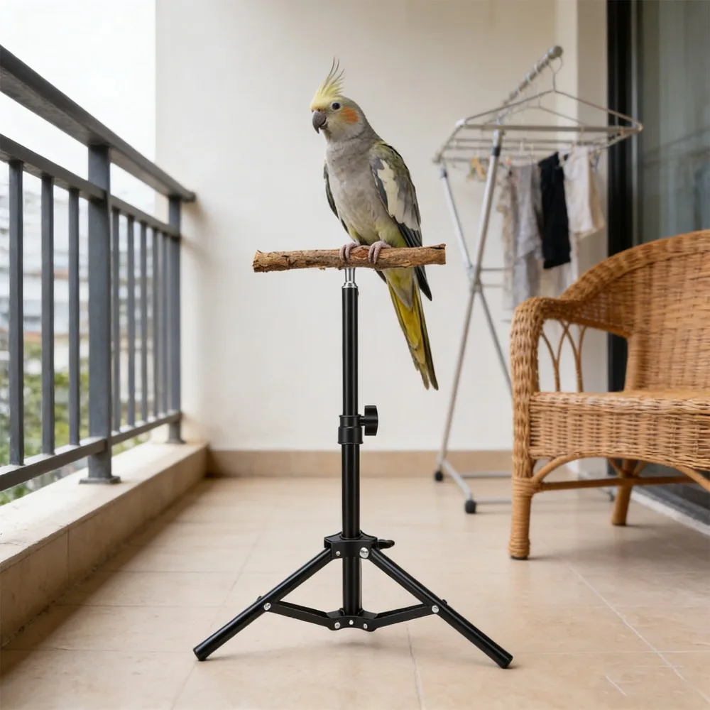 Vogeltrainingsständer aus Legierung, höhenverstellbar, faltbar zur Aufbewahrung, stabiler Vogelspielständer in Schwarz – Detail 10