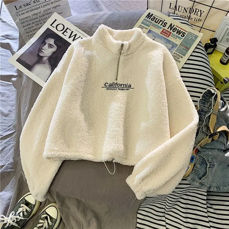 Cashmere Short High Collar Hoodies Women Thicken Loose Korean Autumn Zipper Coat Embroider California Letters Sweatshirt Femme